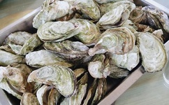 女王调教免费专区视频